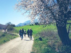 Los mejores senderos de Ronda