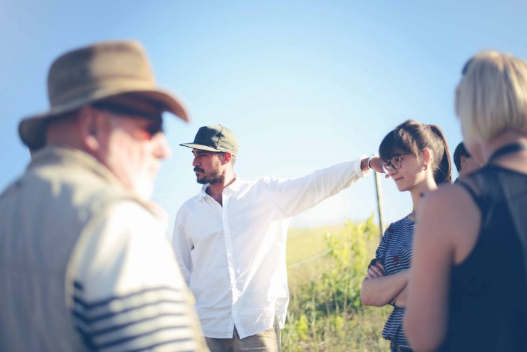 best wines from Ronda